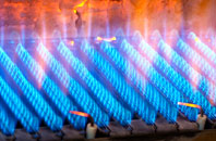 Gorddinog gas fired boilers